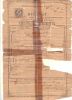 Baptismal Certificate
